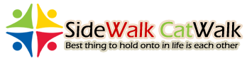 sidewalk-catwalk